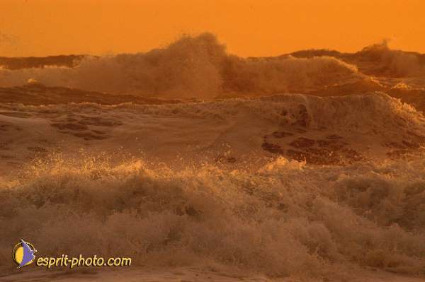 Nom de l'image : Fond_D_Ecran_Ep08-0380 — Description :