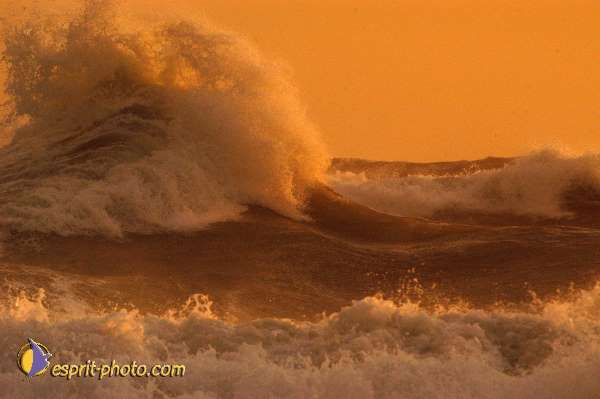 Nom de l'image : Fond_D_Ecran_Ep08-0381 — Description :