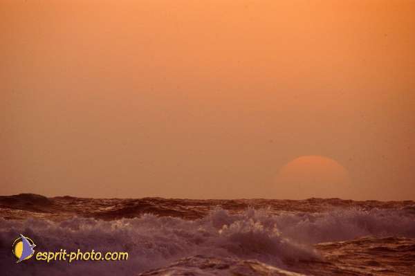 Nom de l'image : Fond_D_Ecran_Ep08-0384 — Description :