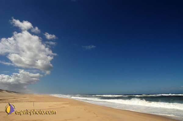 Nom de l'image : Fond_D_Ecran_Ep08-0393 — Description :