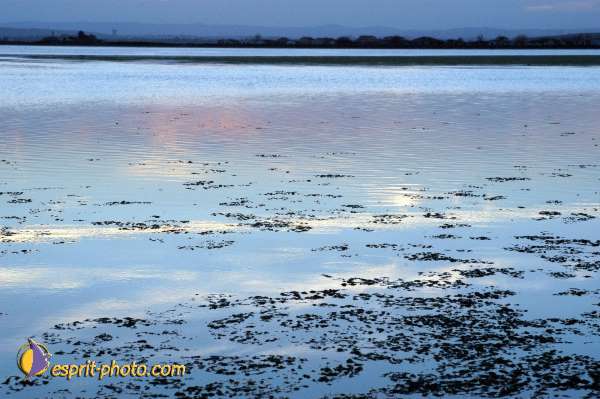 Nom de l'image : Fond_D_Ecran_Ep08-0395 — Description :