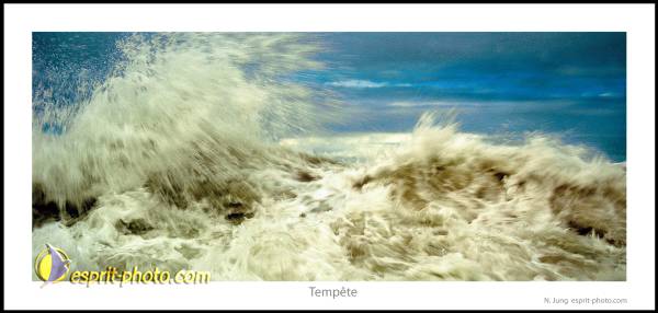 Nom de l'image : Postcard_Esprit-Photo-02 — Description :