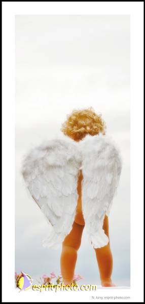 Nom de l'image : Postcard_Esprit-Photo-10 — Description :