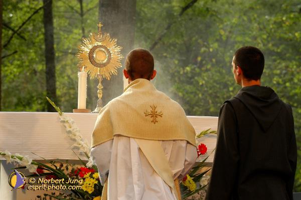 Nom de l'image : D1061658-01 — Description :