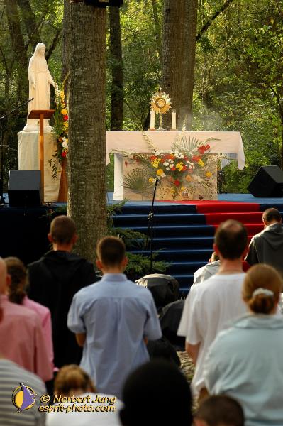 Nom de l'image : D1061667-01 — Description :