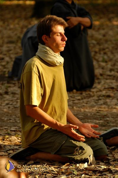 Nom de l'image : D1061709-01 — Description :