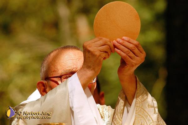 Nom de l'image : D1063651-01 — Description :