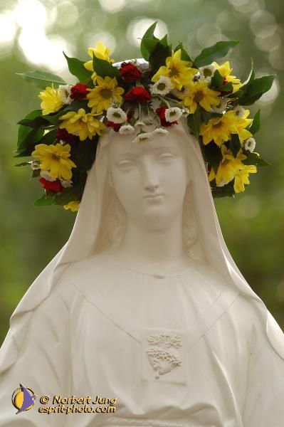 Nom de l'image : D1065059-nef-01 — Description :