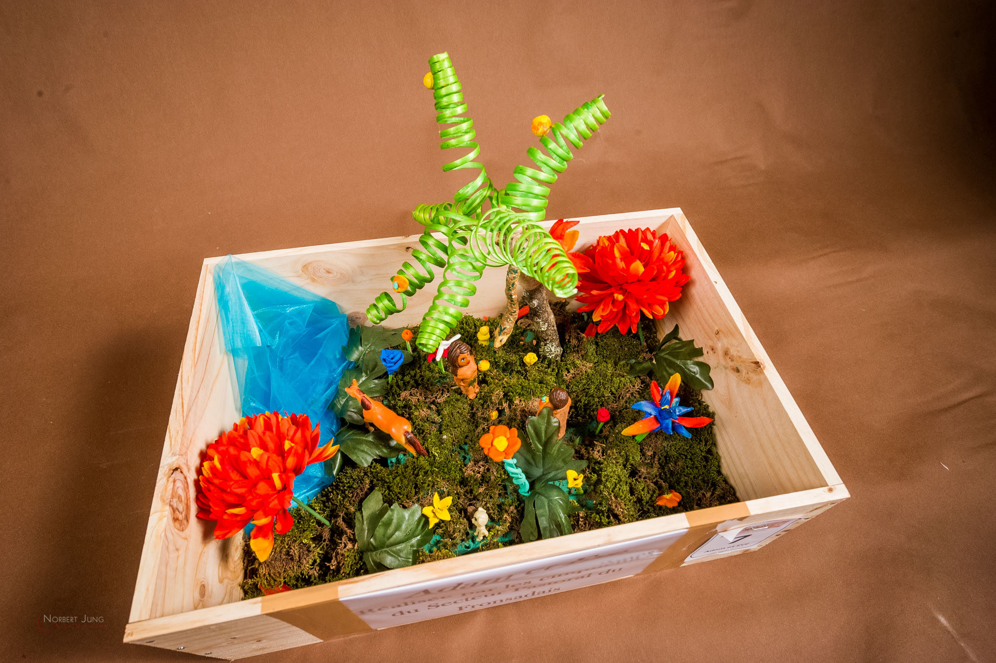 Nom de l'image : 26_15.21.48_D3s124199_A-la-Vie.com — Description :