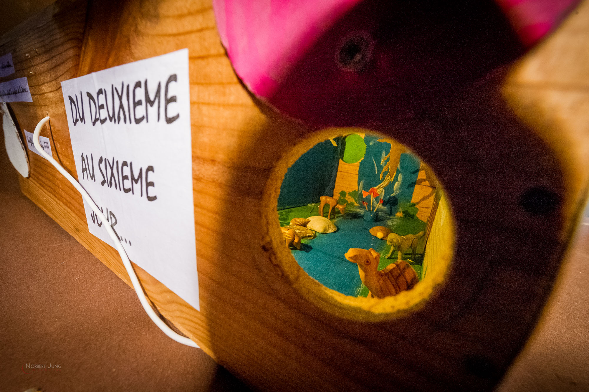 Nom de l'image : 26_16.01.17_D3s124357_A-la-Vie.com — Description :