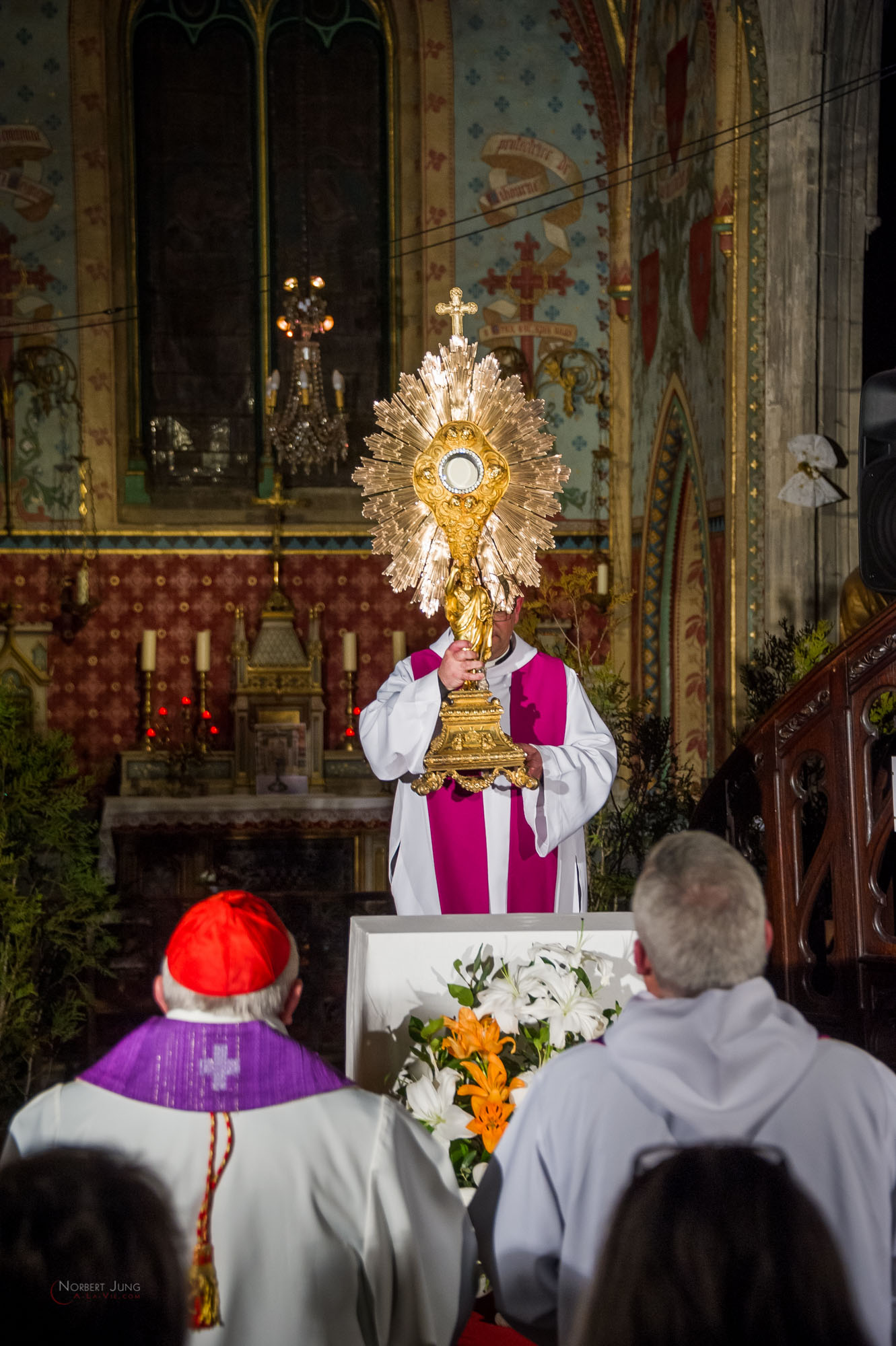 Nom de l'image : 30_22.23.55_D3s125879_A-la-Vie.com — Description :