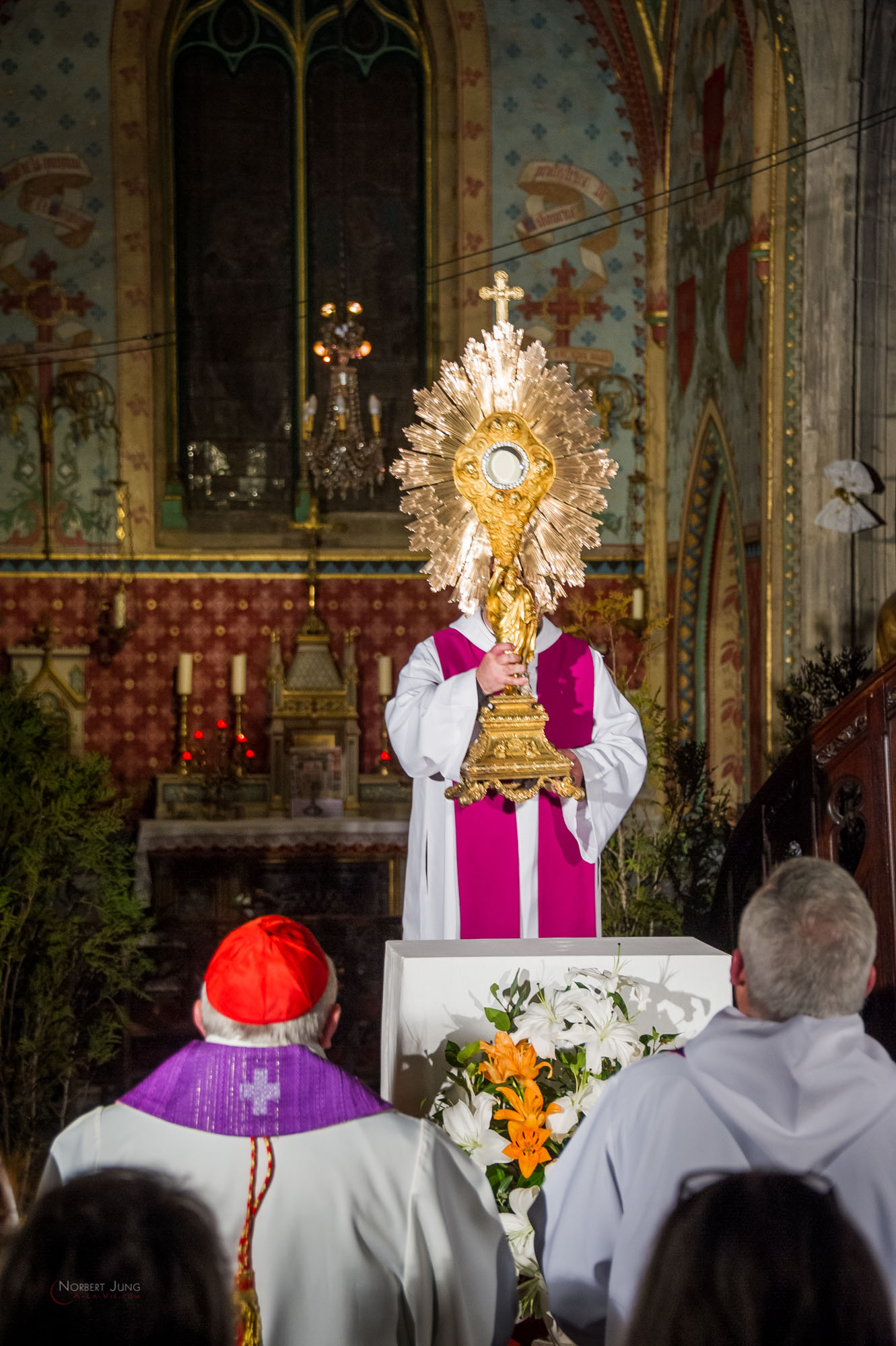 Nom de l'image : 30_22.23.55_D3s125880_A-la-Vie.com — Description :