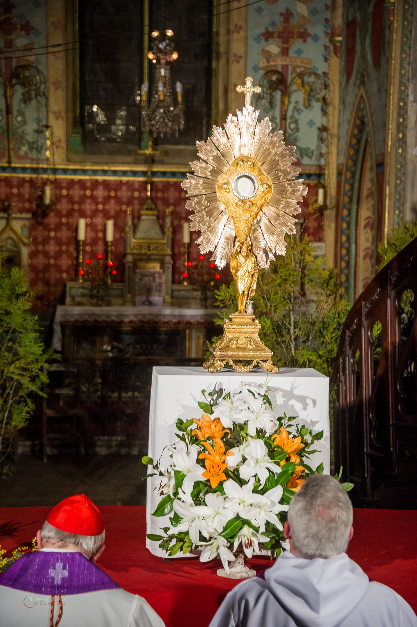 Nom de l'image : 30_22.24.29_D3s125886_A-la-Vie.com — Description :