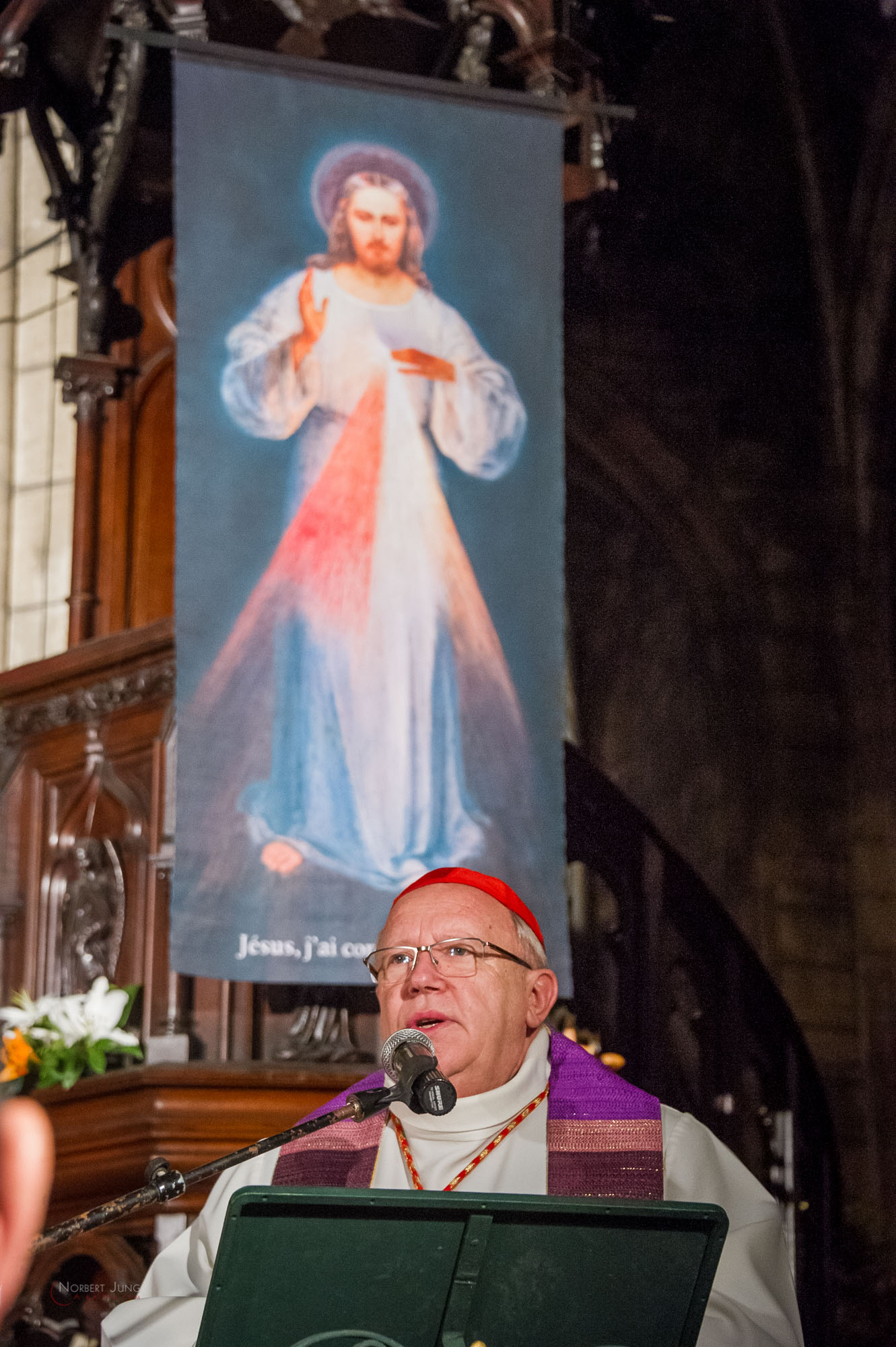 Nom de l'image : 30_22.30.39_D3s125895_A-la-Vie.com — Description :