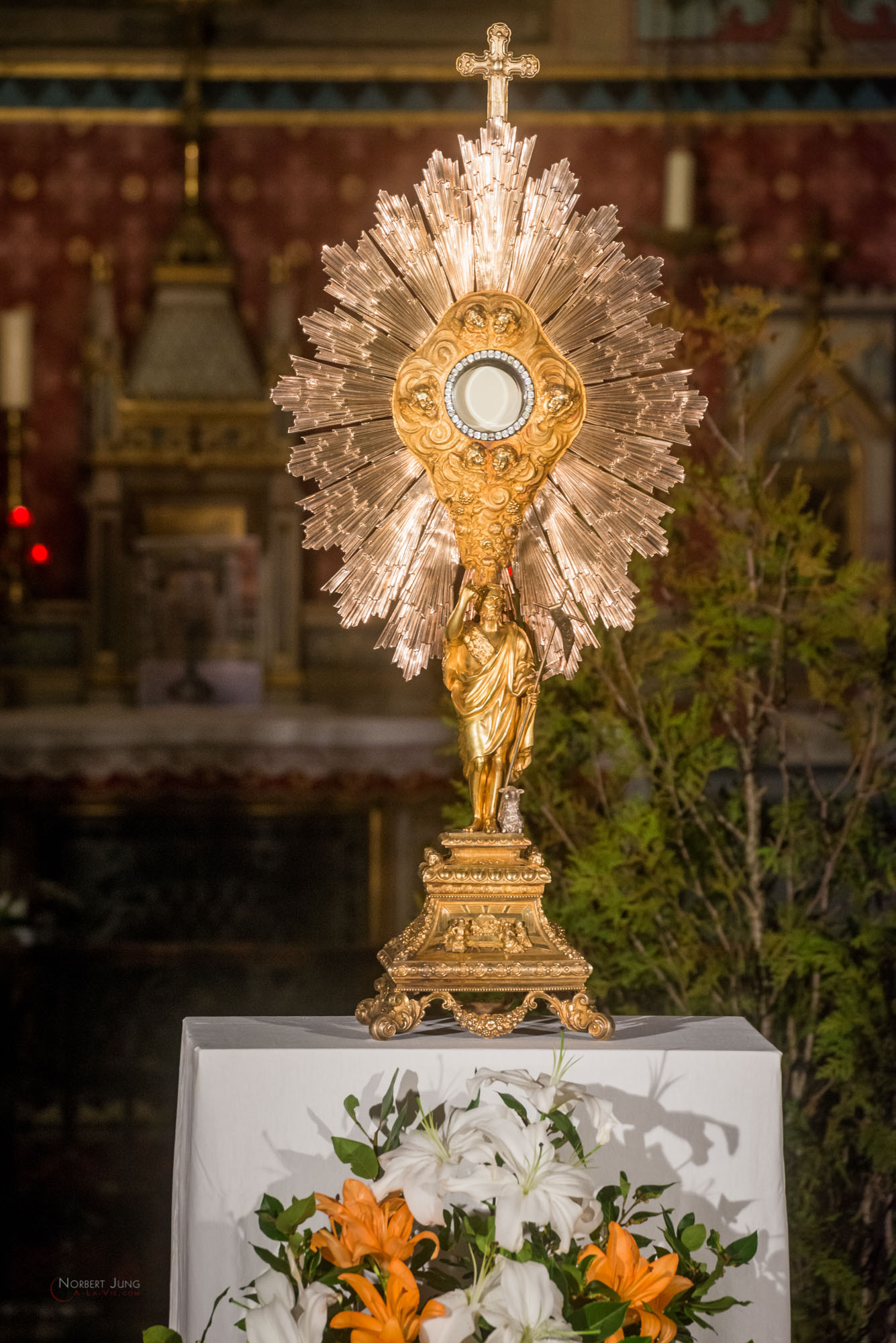 Nom de l'image : 30_22.36.52_D8e089922_A-la-Vie.com — Description :