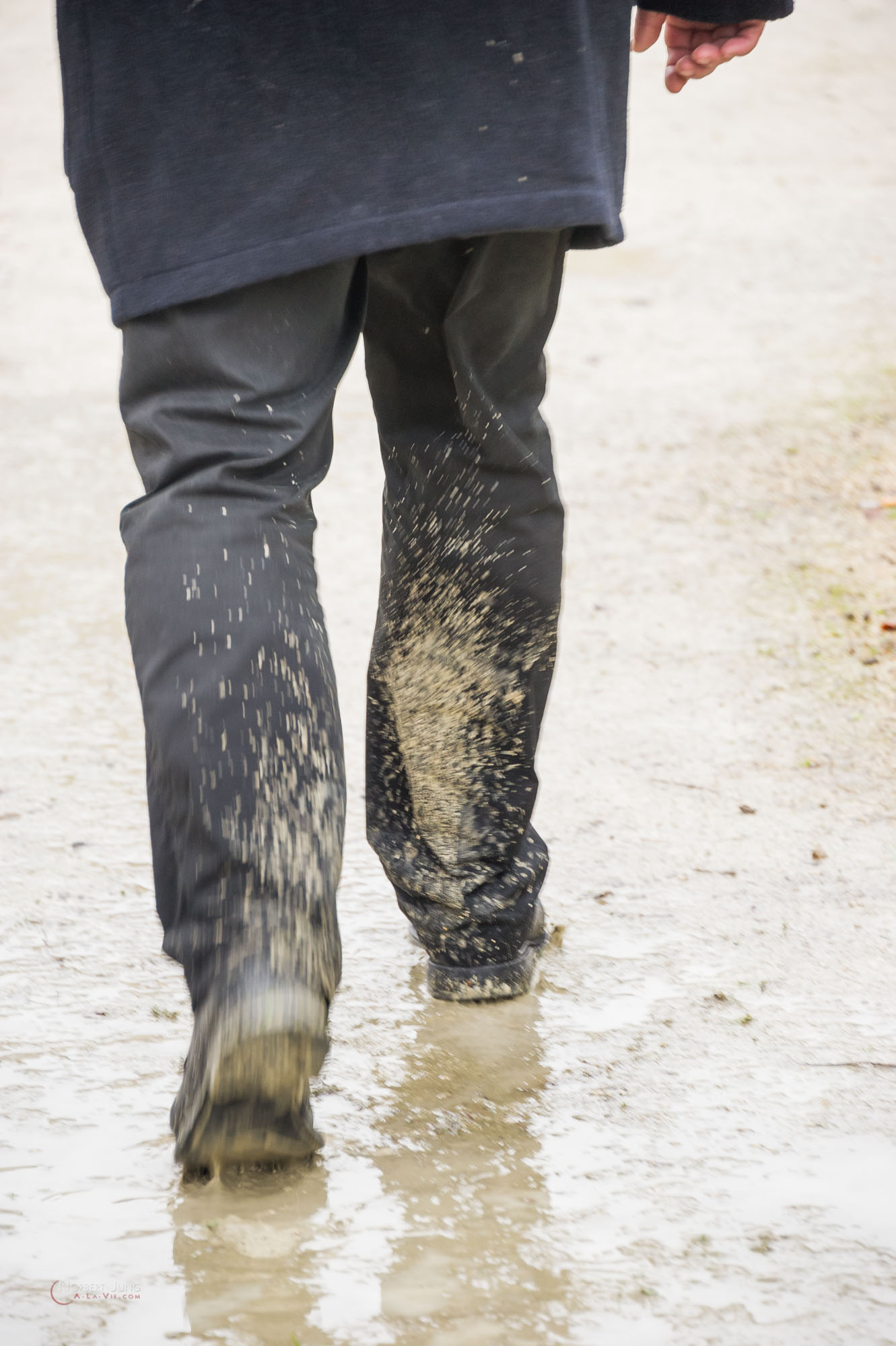 Nom de l'image : 31_11.41.59_D3s126141_A-la-Vie.com — Description :