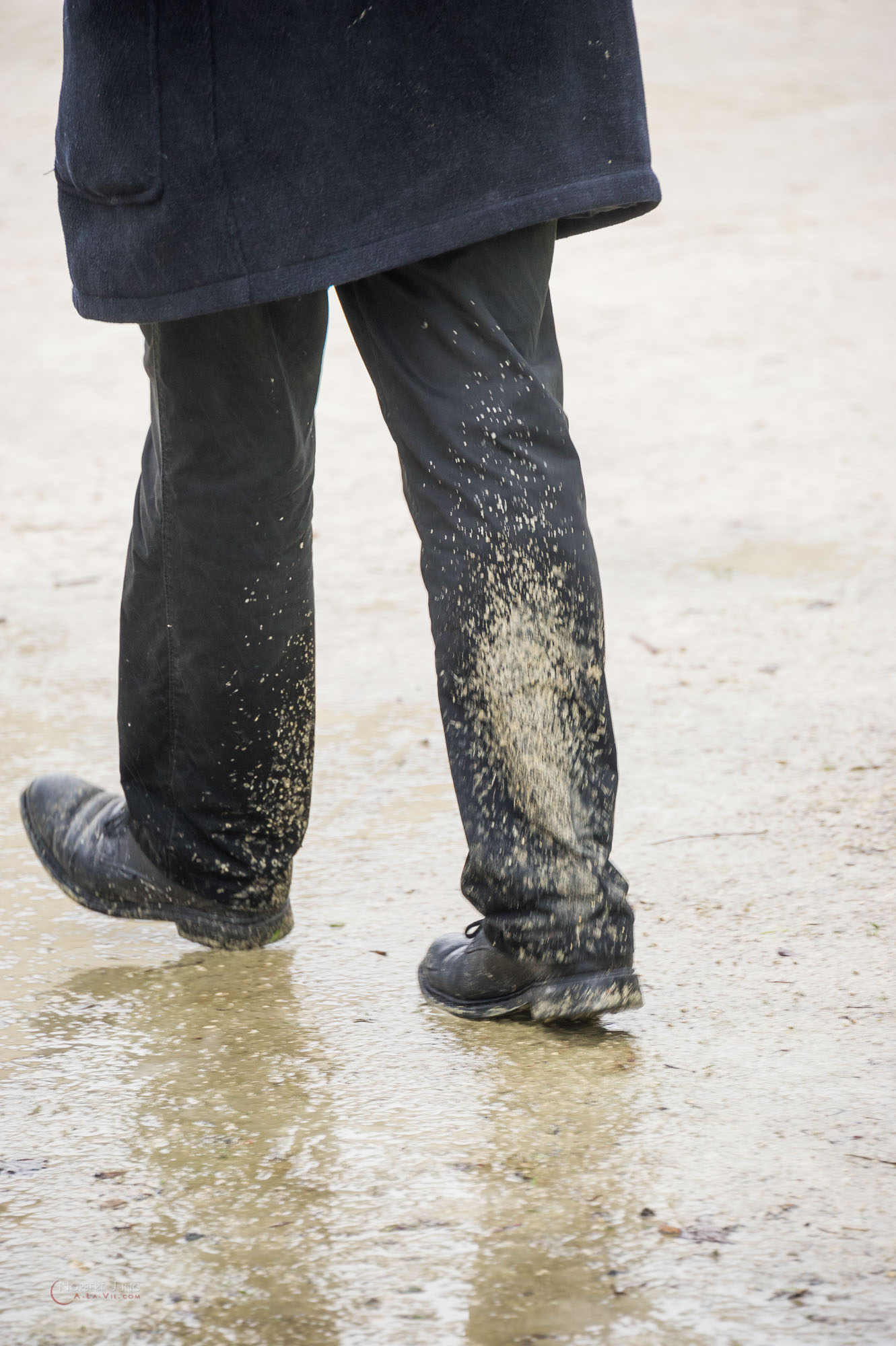 Nom de l'image : 31_11.42.00_D3s126143_A-la-Vie.com — Description :