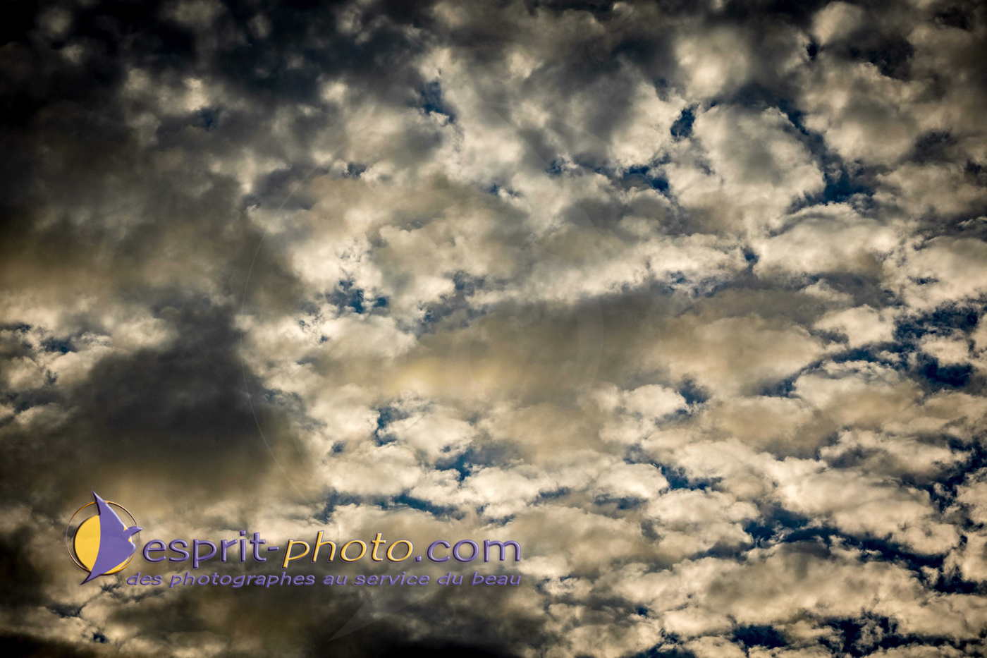 Nom de l'image : 180730-205055_S1093297_Satisfecit-Editions.fr — Description :  S1093297