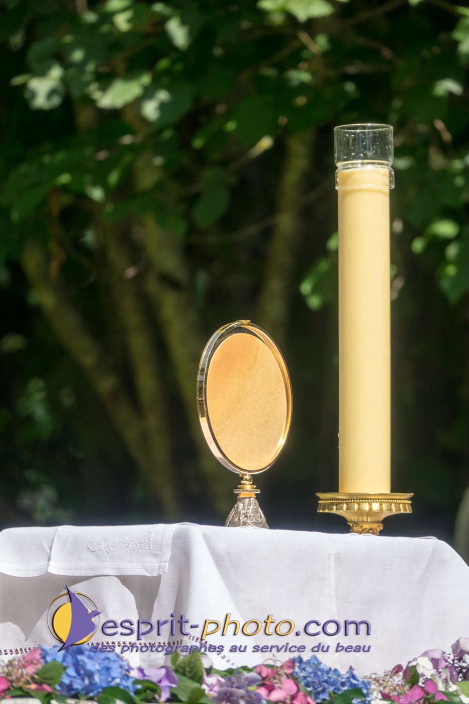 Nom de l'image : 180803-154453_S1095721_Satisfecit-Editions.fr — Description :  S1095721