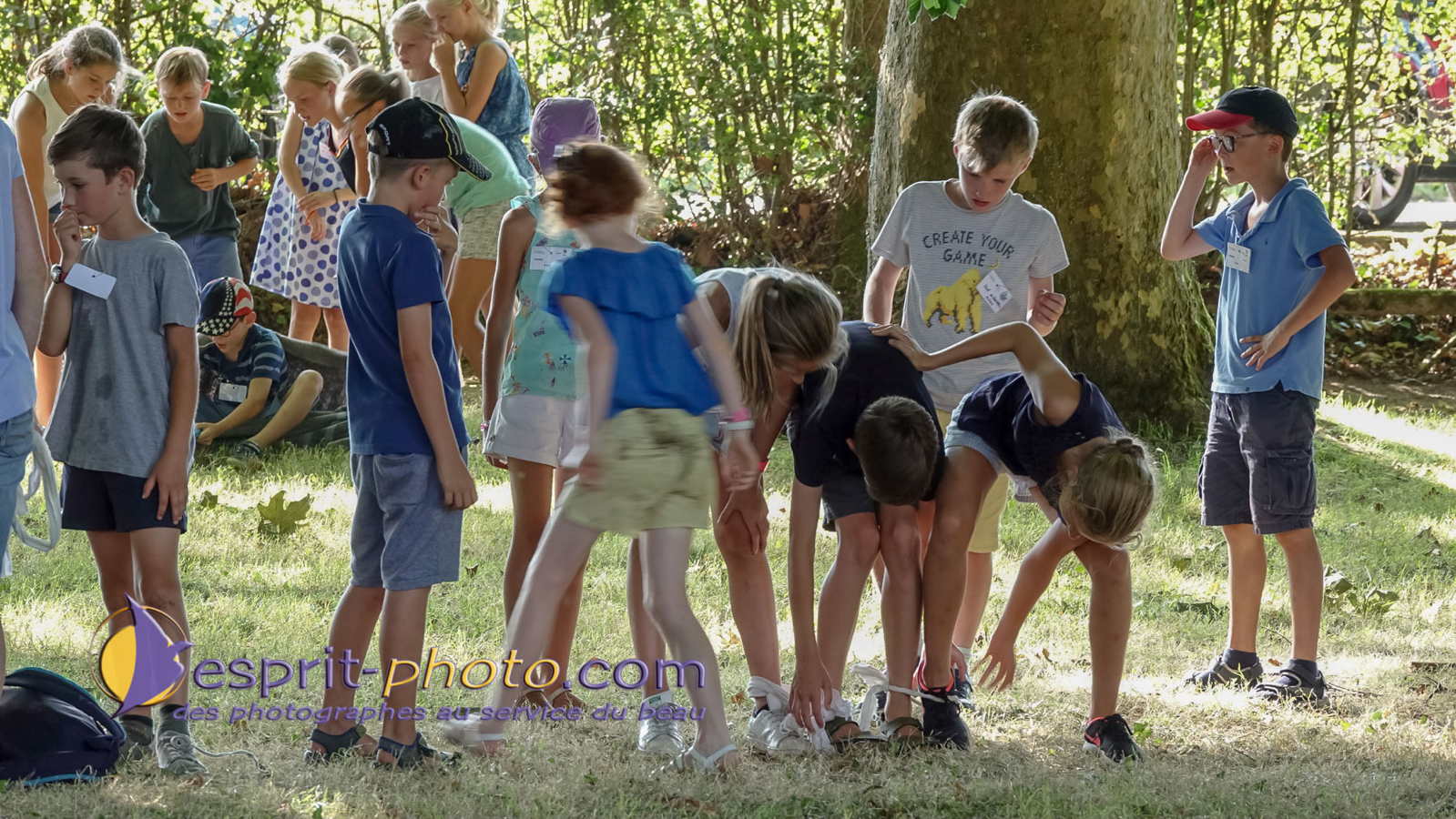 Nom de l'image : 180803-182406_S1095896_Satisfecit-Editions.fr — Description :  S1095896