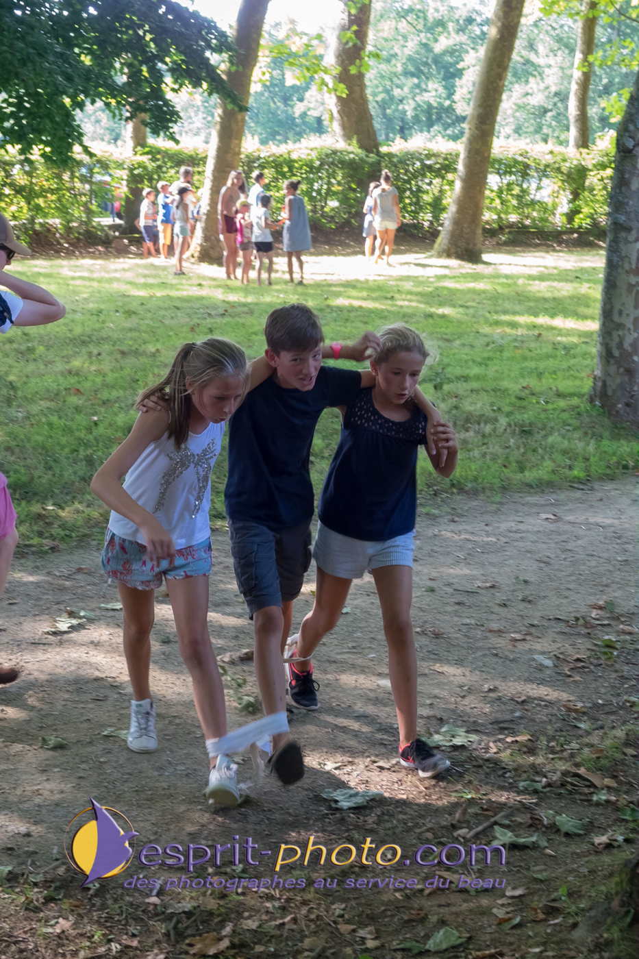 Nom de l'image : 180803-182642_S1095920_Satisfecit-Editions.fr — Description :  S1095920