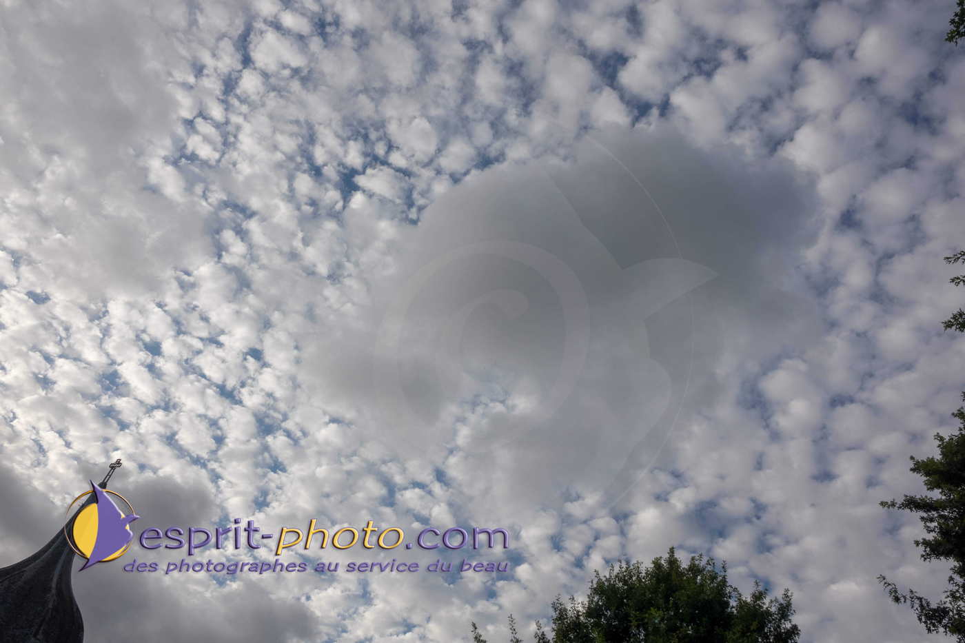 Nom de l'image : 180730-203542_S1093255_Satisfecit-Editions.fr — Description :  S1093255