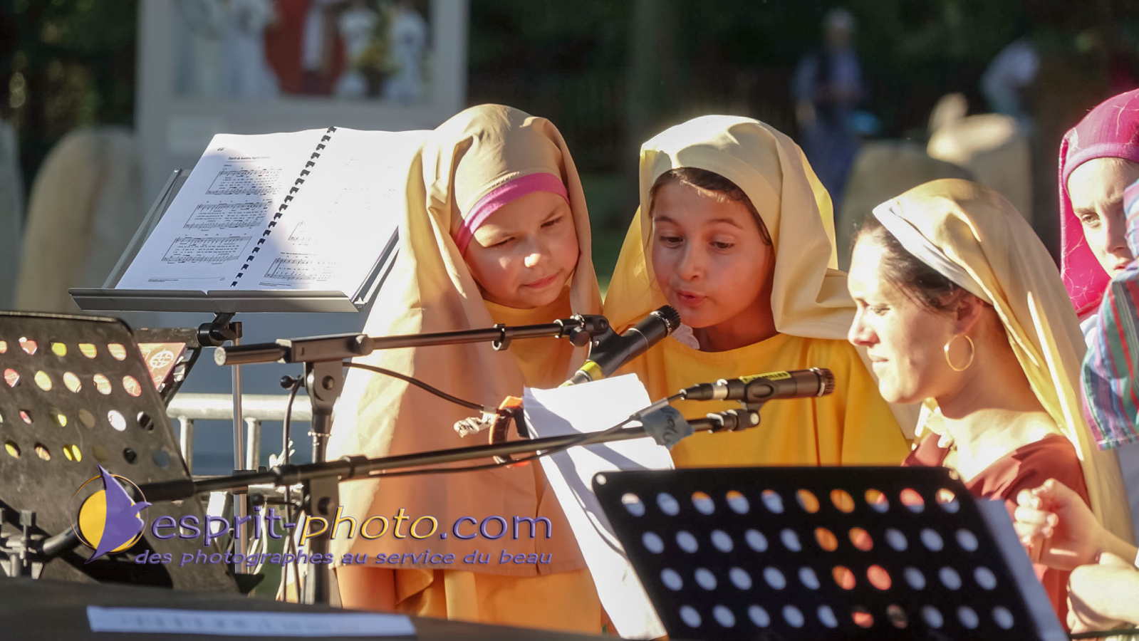 Nom de l'image : 180802-201538_S1095057_Satisfecit-Editions.fr — Description :  S1095057