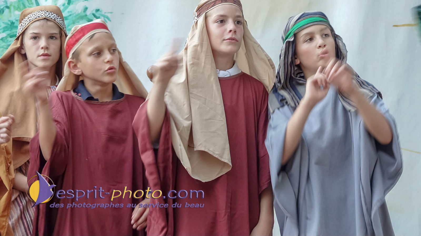 Nom de l'image : 180802-210237_S1095412_Satisfecit-Editions.fr — Description :  S1095412