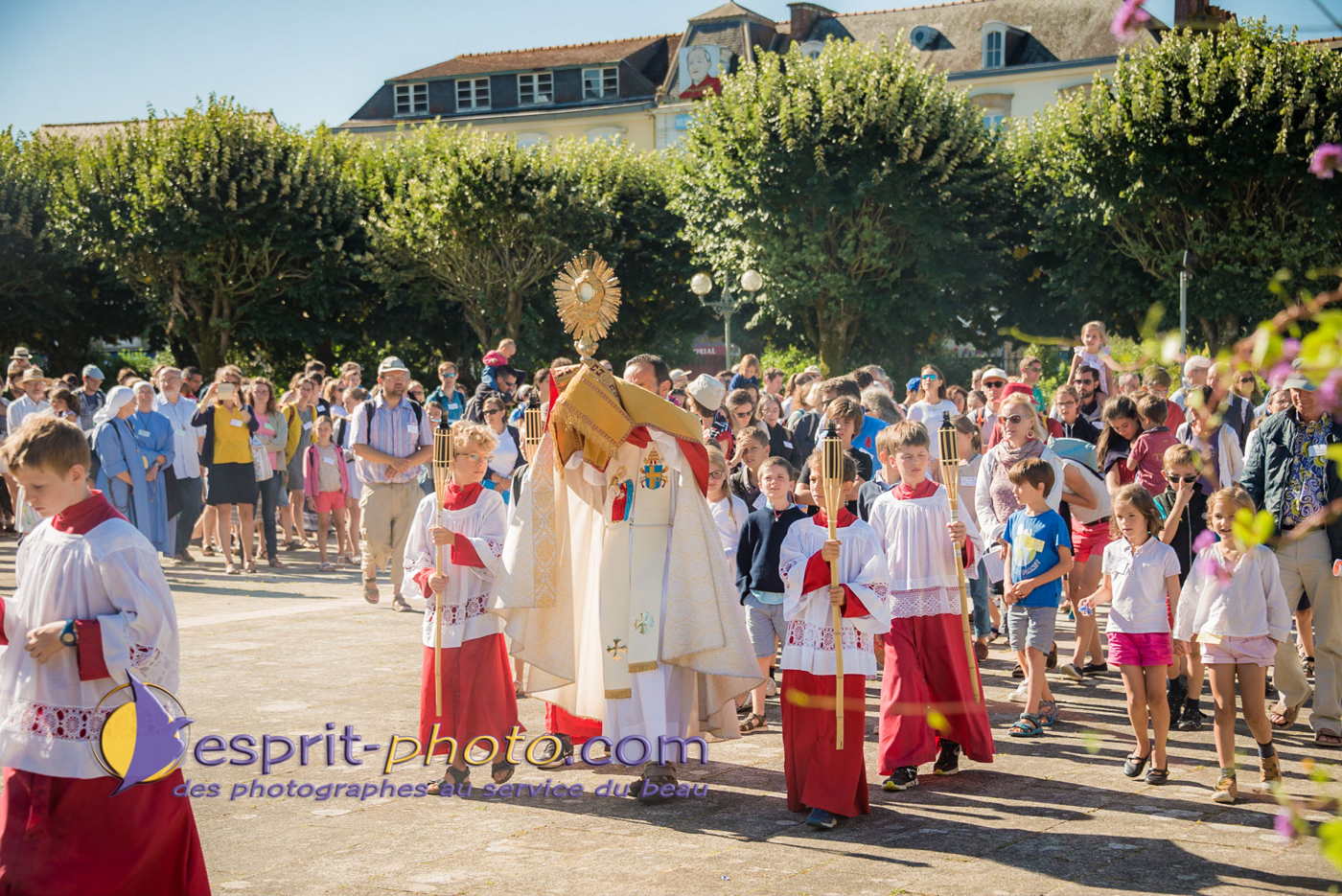 Nom de l'image : 180802-103825_D8e142828_Satisfecit-Editions.fr — Description :  D8e142828