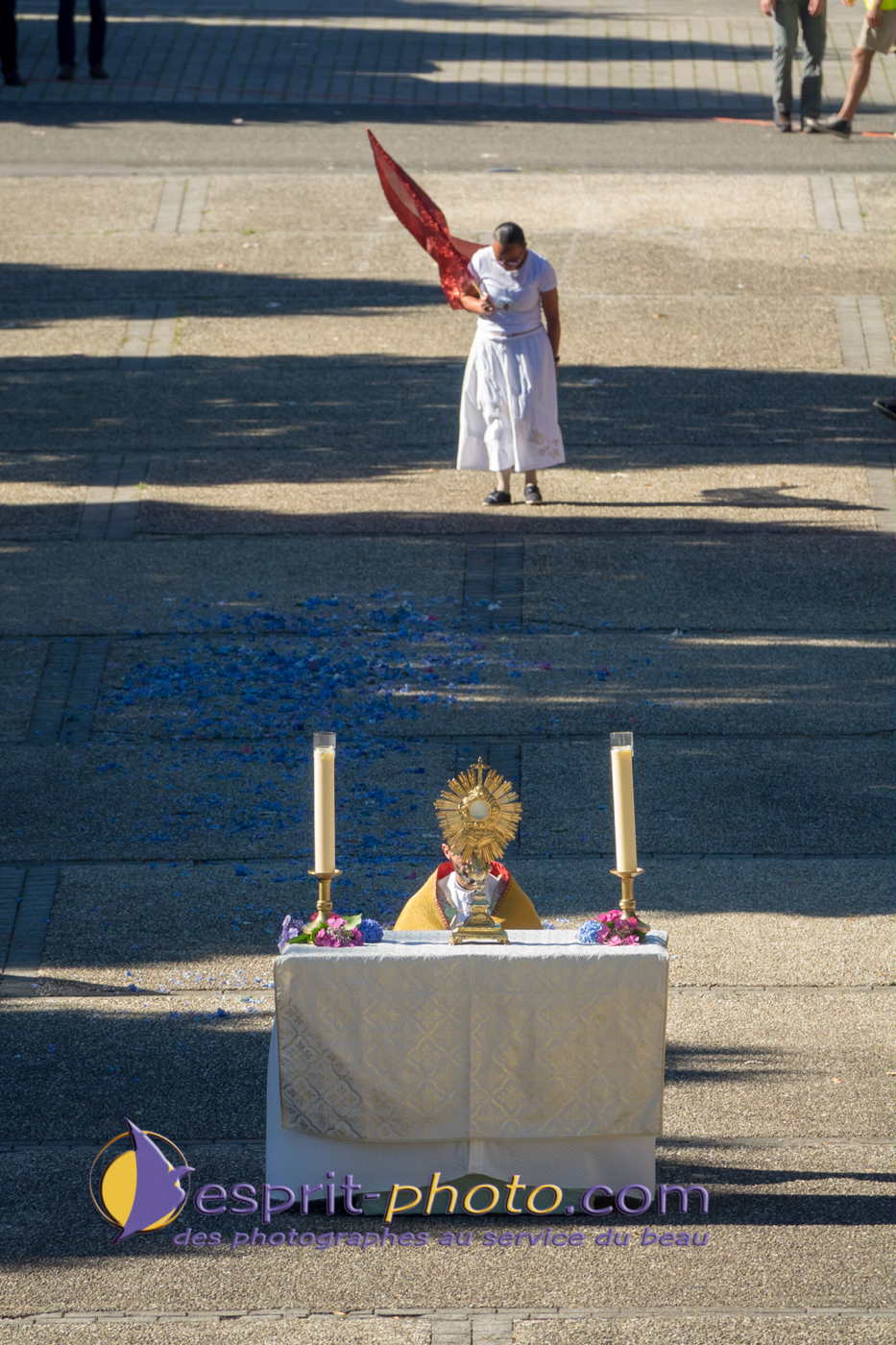 Nom de l'image : 180802-104310_S1094431_Satisfecit-Editions.fr — Description :  S1094431