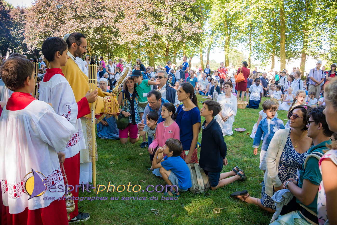 Nom de l'image : 180802-111515_D8e142936_Satisfecit-Editions.fr — Description :  D8e142936