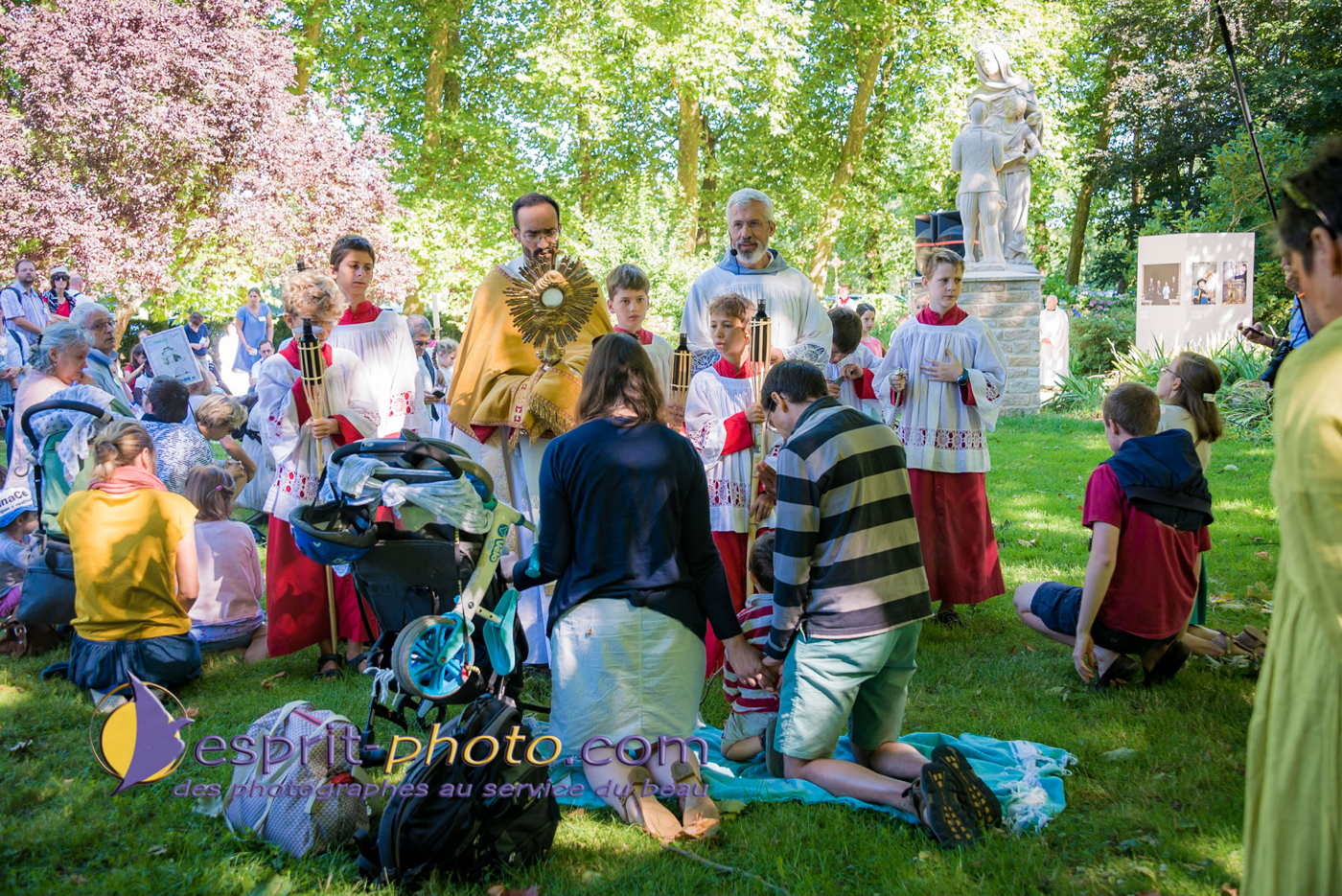 Nom de l'image : 180802-111636_D8e142943_Satisfecit-Editions.fr — Description :  D8e142943