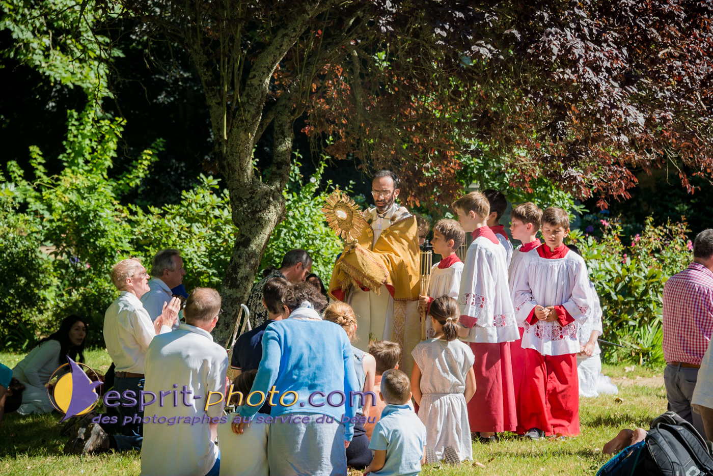 Nom de l'image : 180802-114029_D8e142976_Satisfecit-Editions.fr — Description :  D8e142976