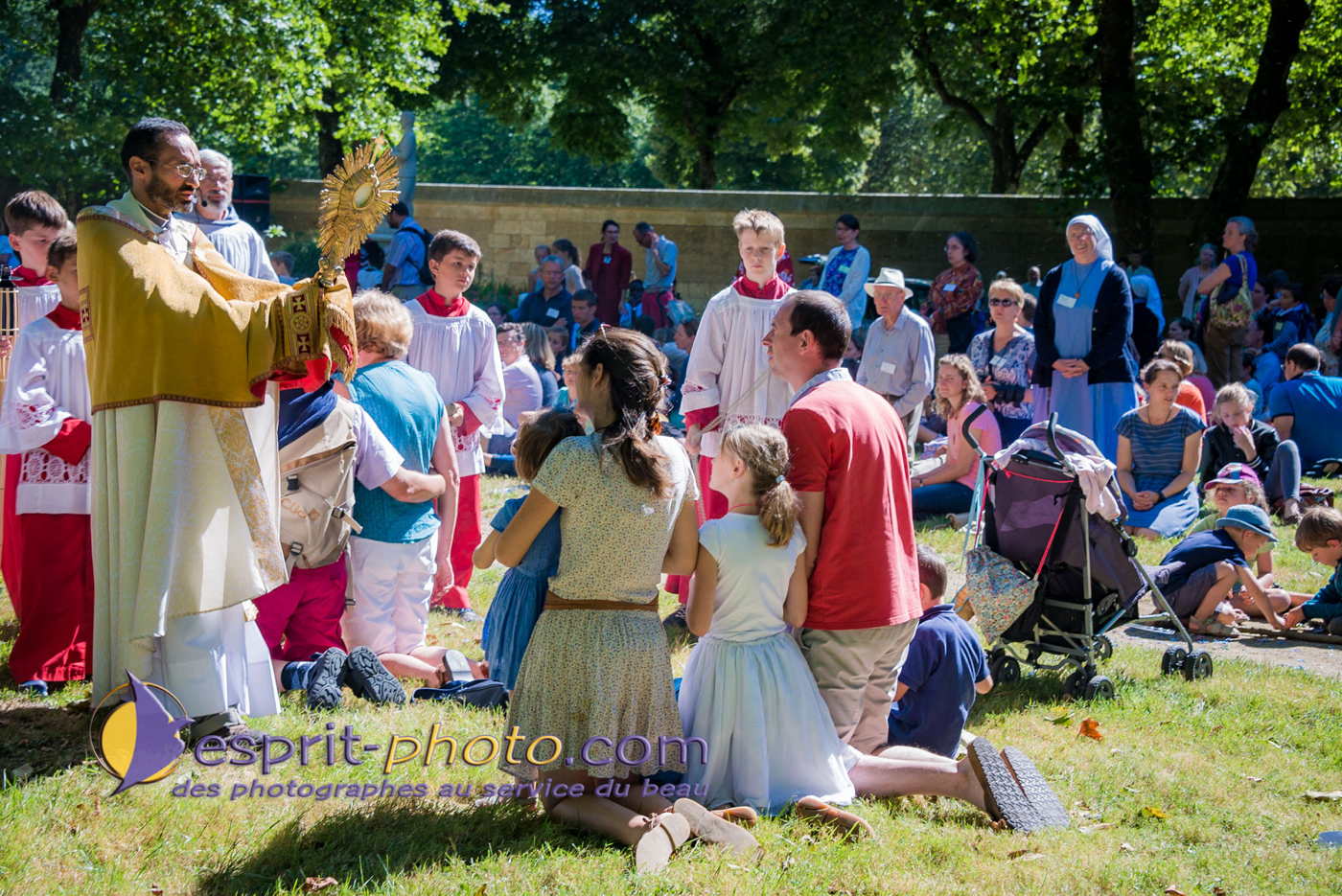 Nom de l'image : 180802-114235_D8e142981_Satisfecit-Editions.fr — Description :  D8e142981