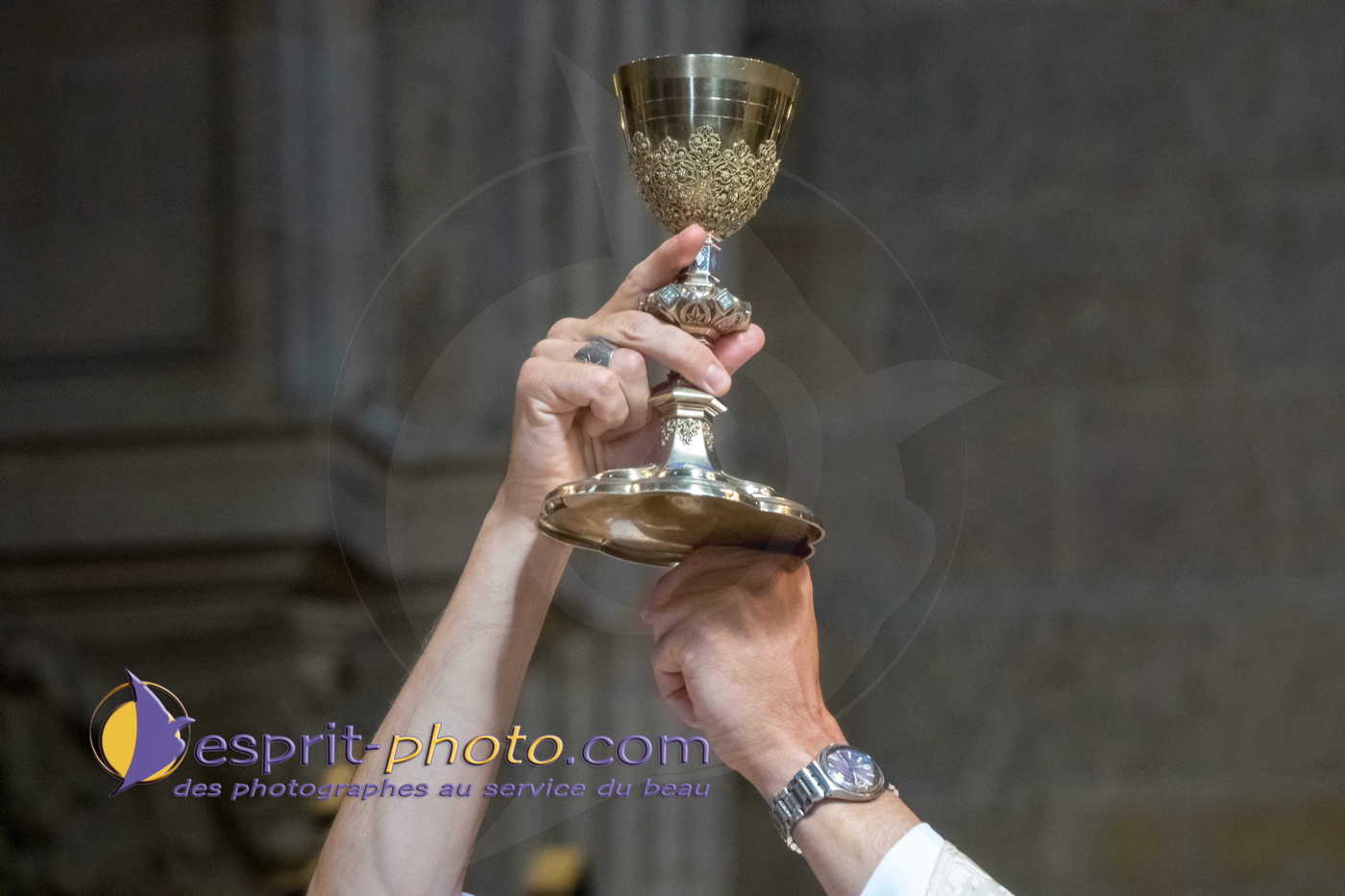 Nom de l'image : 180731-173609_S1093499_Satisfecit-Editions.fr — Description :  S1093499