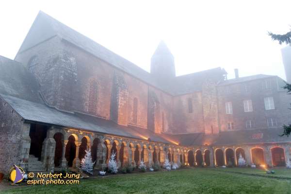 Nom de l'image : D1101290-nef — Description :