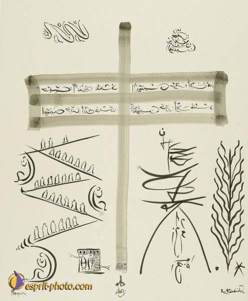 Nom de l'image : D1102953-nef-01 — Description :