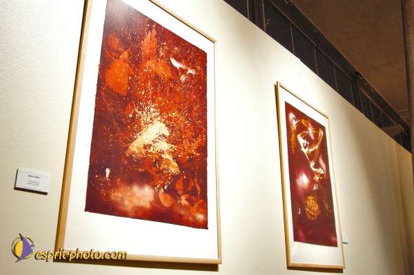 Nom de l'image : D1208906-1 — Description :