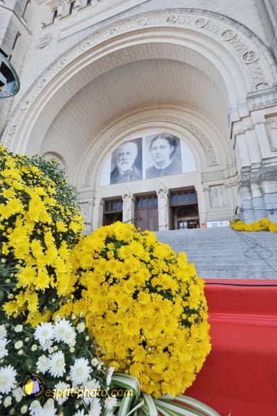 Nom de l'image : D30031733_1 — Description :