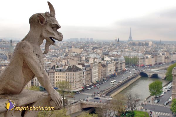 Nom de l'image : D2003076-1 — Description :