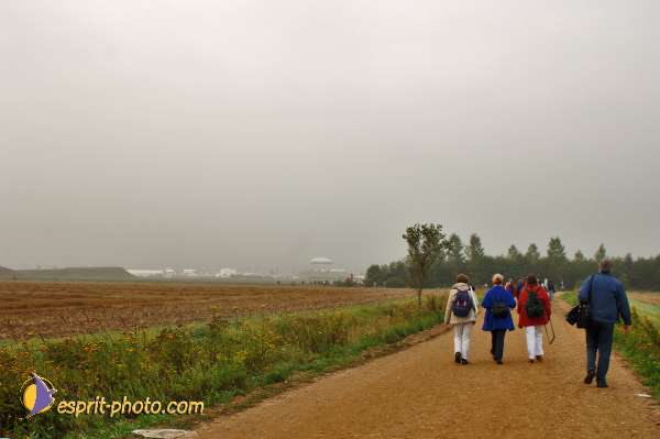 Jmj Marienfeld Rassemblement Du Dimanche