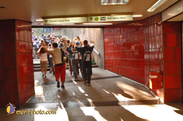 Nom de l'image : D2038211-1 — Description :