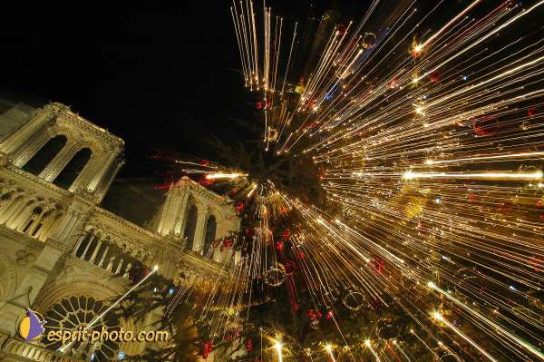 Nom de l'image : D1204330-1 — Description :  Lancement de JMJ 2005 de Cologne à ND de Paris