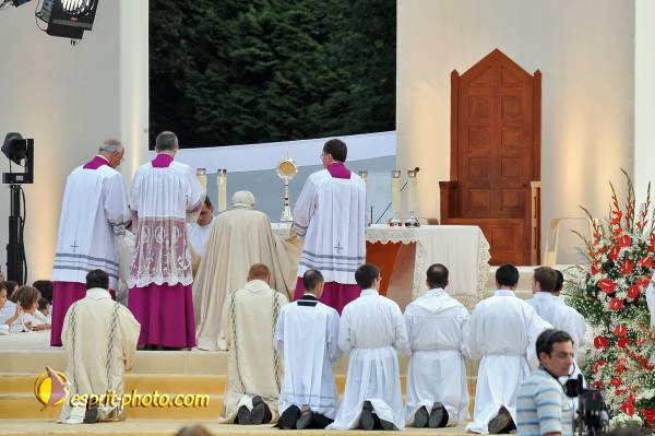 Nom de l'image : PBxvi_6533_D30028220_1 — Description :  D30028220.JPG