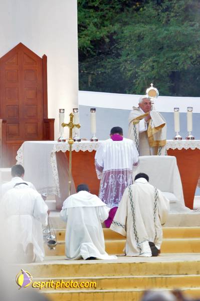 Nom de l'image : PBxvi_6544_D30028231_1 — Description :  D30028231.JPG