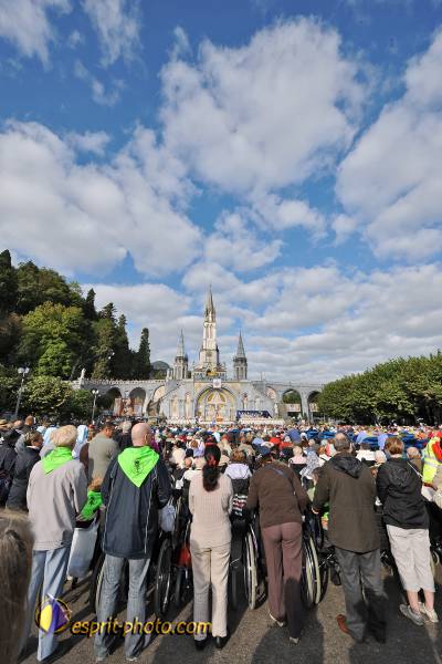 Nom de l'image : PBxvi_7478_D30029053_1 — Description :