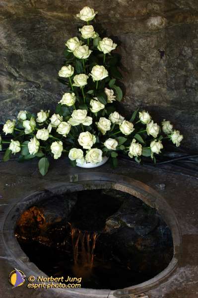 Nom de l'image : D1162287-01 — Description :  Lourdes 2004 - Pèlerinage du Pape à Lourdes