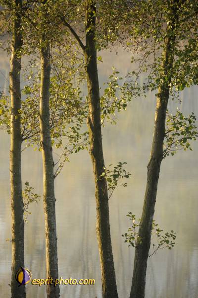 Nom de l'image : D30082677_1 — Description :