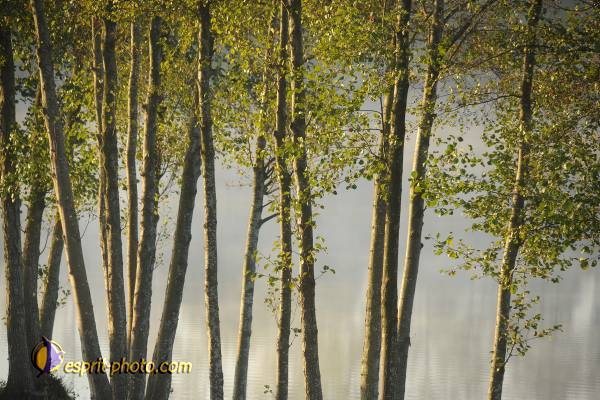 Nom de l'image : D30082683_1 — Description :