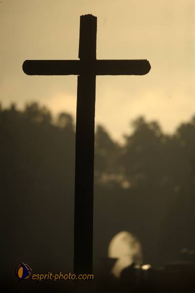 Nom de l'image : D30082711_1 — Description :